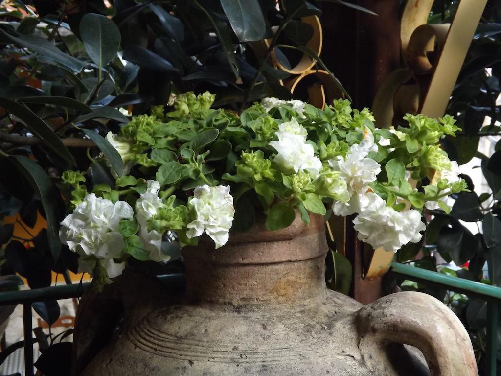 Albergo Diffuso Borgo Santa Caterina "Vintage" 카스티글리오네디시칠리아 외부 사진
