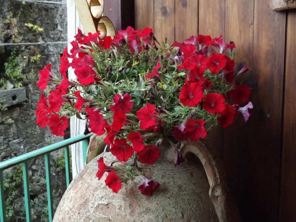 Albergo Diffuso Borgo Santa Caterina "Vintage" 카스티글리오네디시칠리아 외부 사진